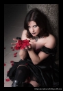 DRK_3334-Edit